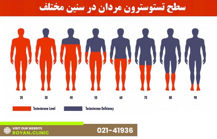 سطح تستوسترون مردان در سنین مختلف